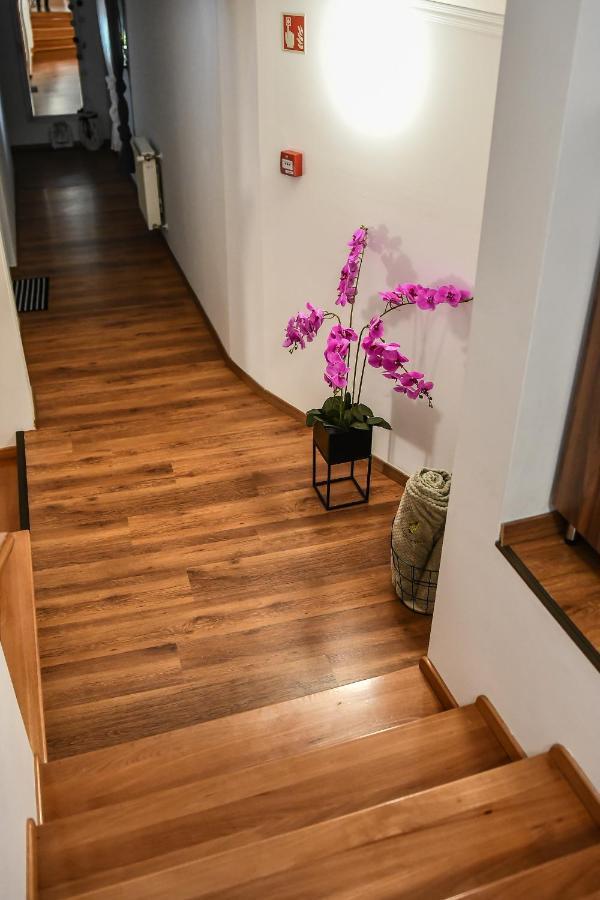 E-Vasko Panzio Borpince Bed and Breakfast Tokaj Εξωτερικό φωτογραφία
