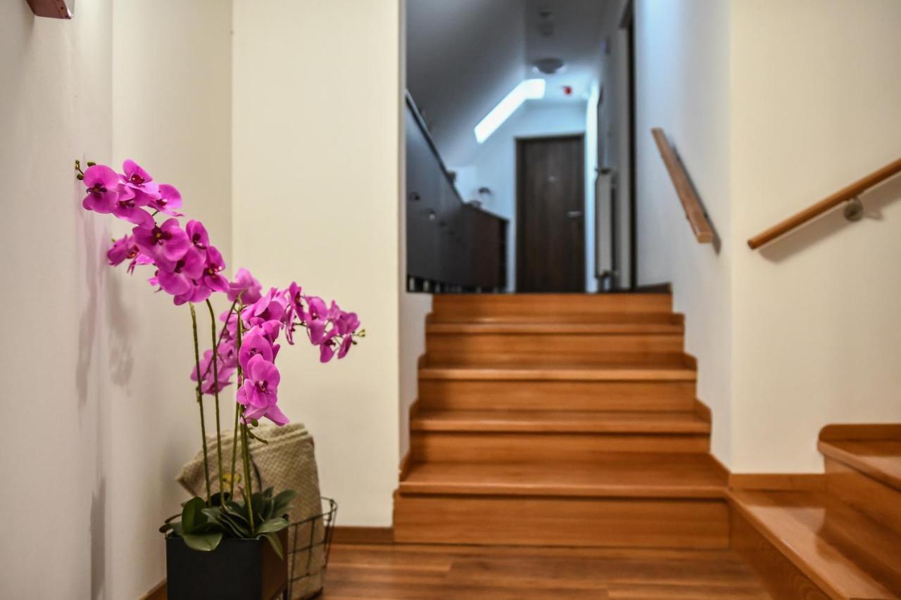 E-Vasko Panzio Borpince Bed and Breakfast Tokaj Εξωτερικό φωτογραφία
